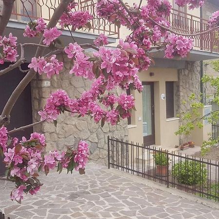 Апартаменты La Casina Di Nonna Giulia Кастильоне-д'Орчия Экстерьер фото