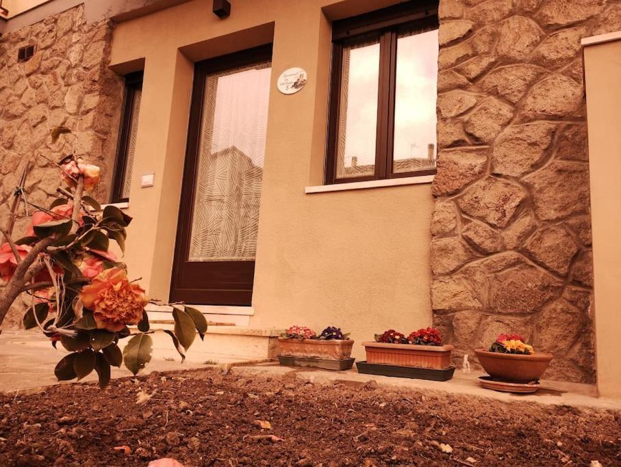 Апартаменты La Casina Di Nonna Giulia Кастильоне-д'Орчия Экстерьер фото